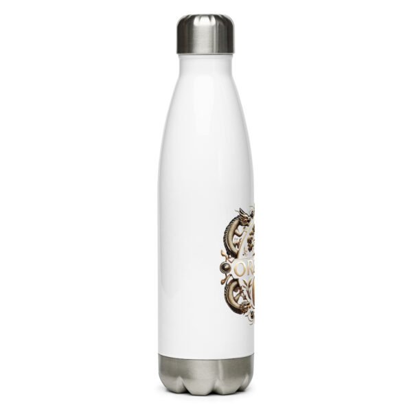 Stainless Steel Water Bottle